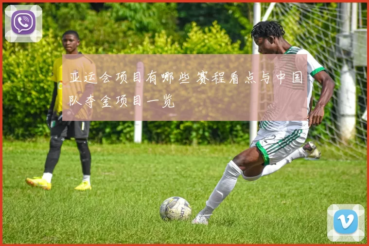 亚运会项目有哪些 赛程看点与中国队夺金项目一览