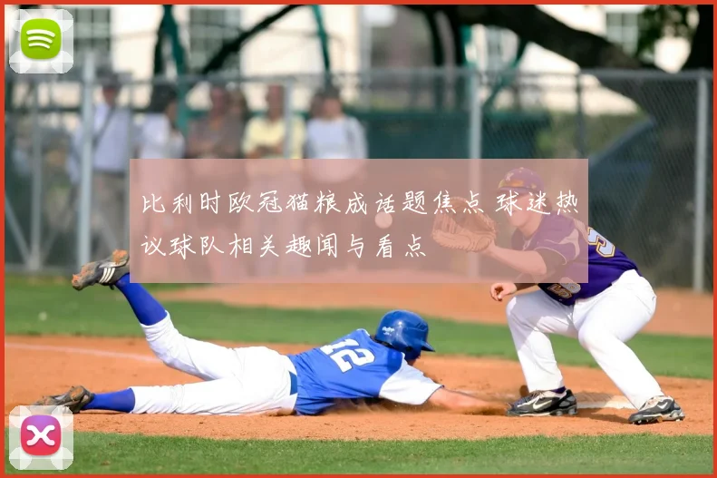 比利时欧冠猫粮成话题焦点 球迷热议球队相关趣闻与看点