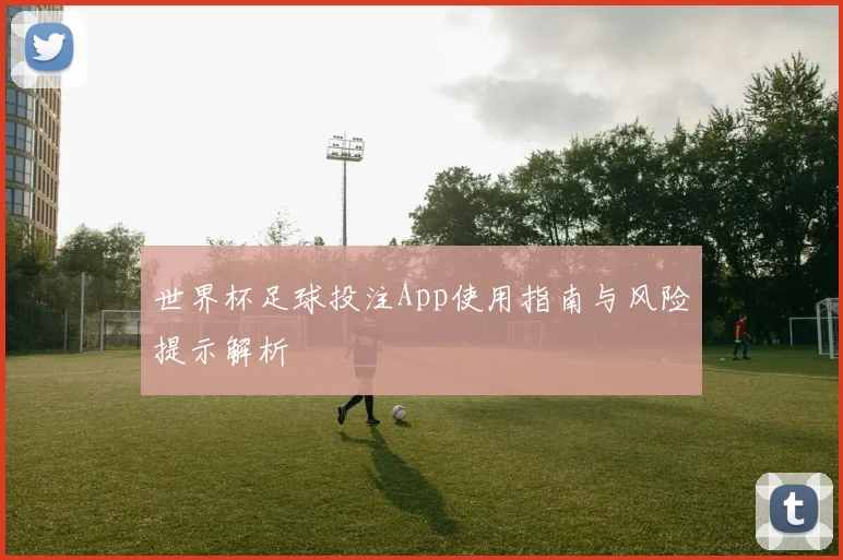 世界杯足球投注App使用指南与风险提示解析