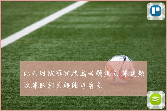 比利时欧冠猫粮成话题焦点 球迷热议球队相关趣闻与看点