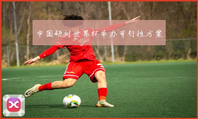 中国研讨世界杯举办可行性方案