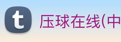 压球在线(中国)唯一官方网站 logo